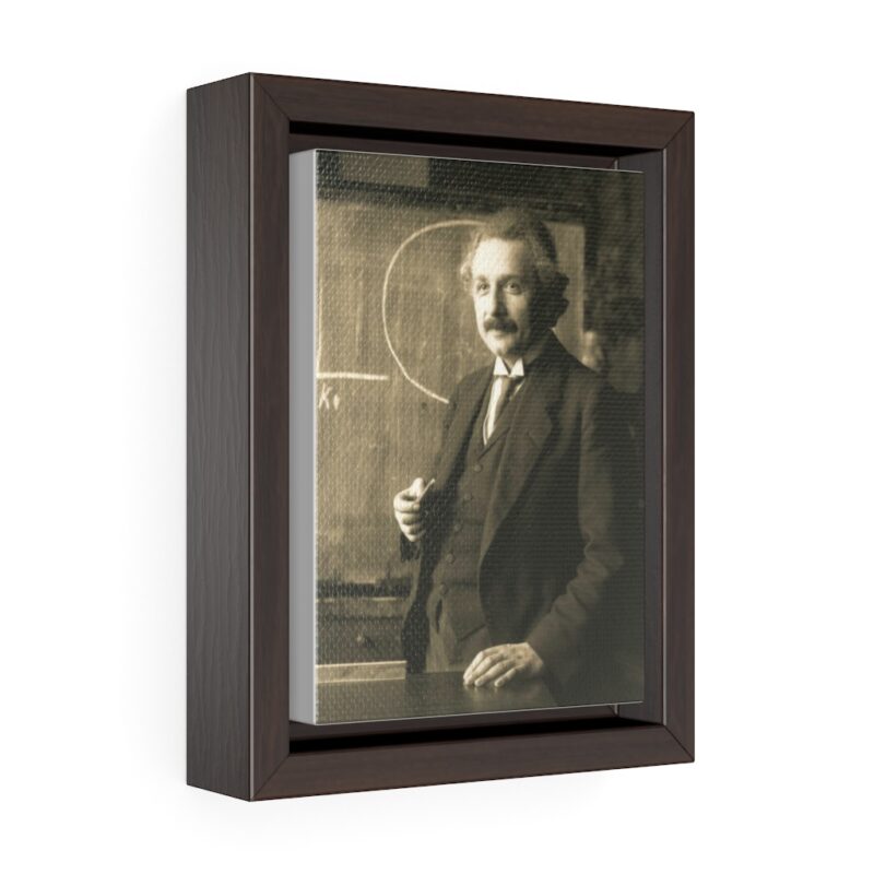 Albert Einstein Vienna Tour Portrait
