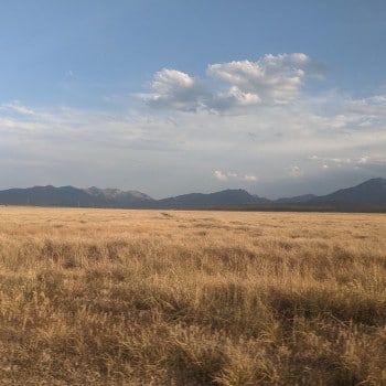 Plains near the Salmon River in Idaho