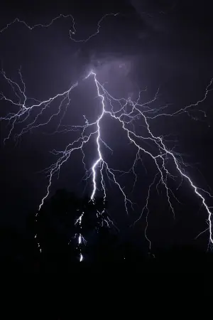 Lightning with the classic Lichtenberg fractal pattern