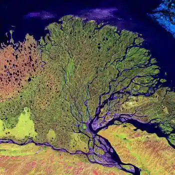 A river delta from space showing the fractal pattern