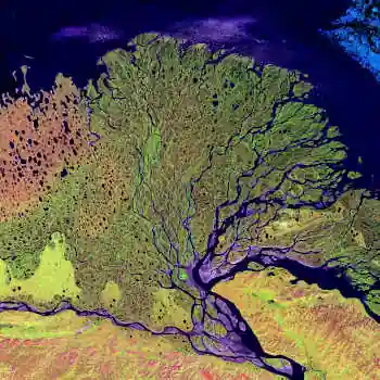 A river delta from space showing the fractal patte