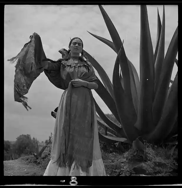 Frida standing next to an agave plant in the Senoras of Mexico article. Photo public domain courtesy of Library of Congress.