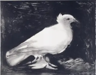 Picasso's Dove of Peace Lithograph